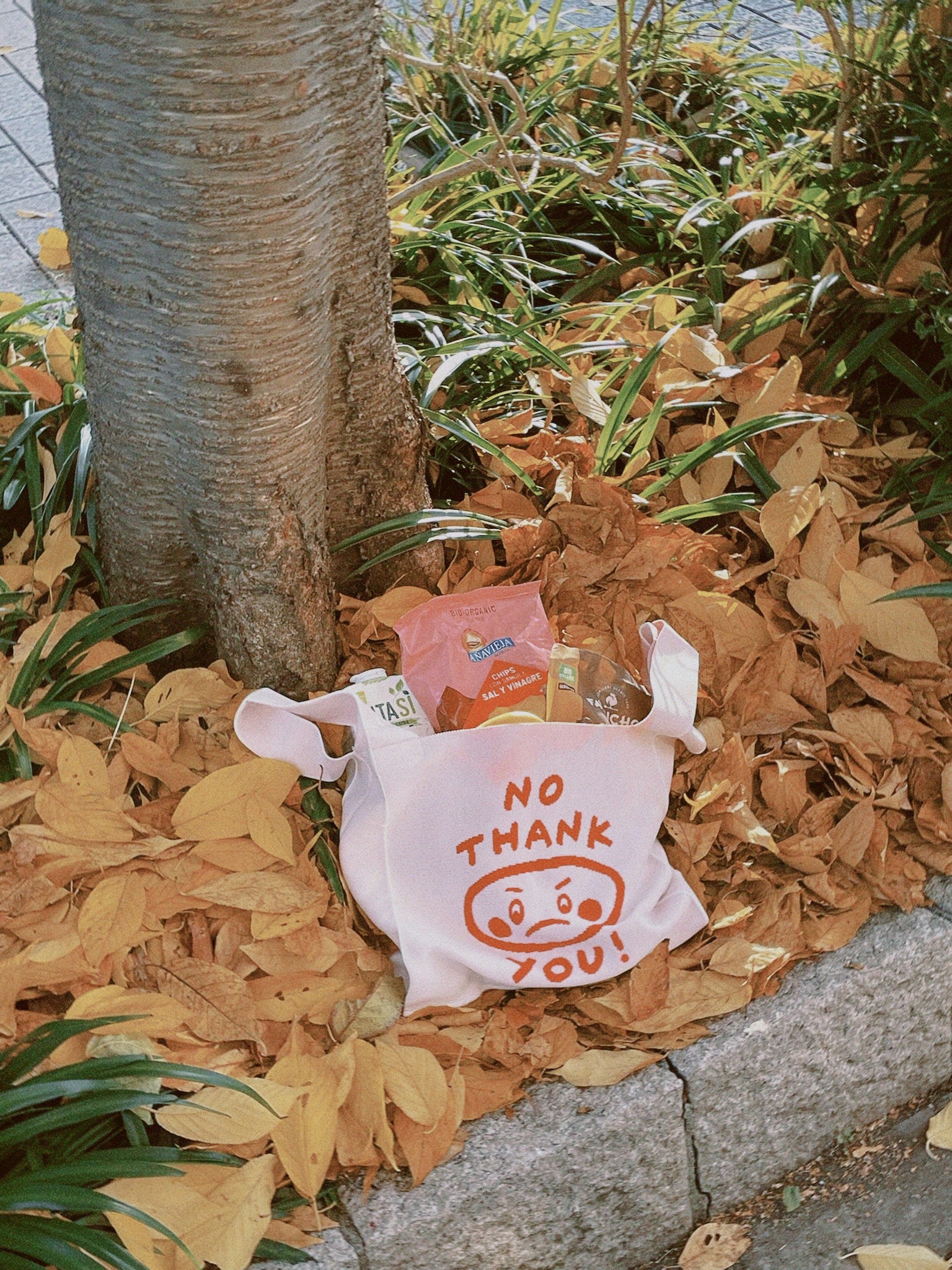 Bunny HS Yamakawa Ivory