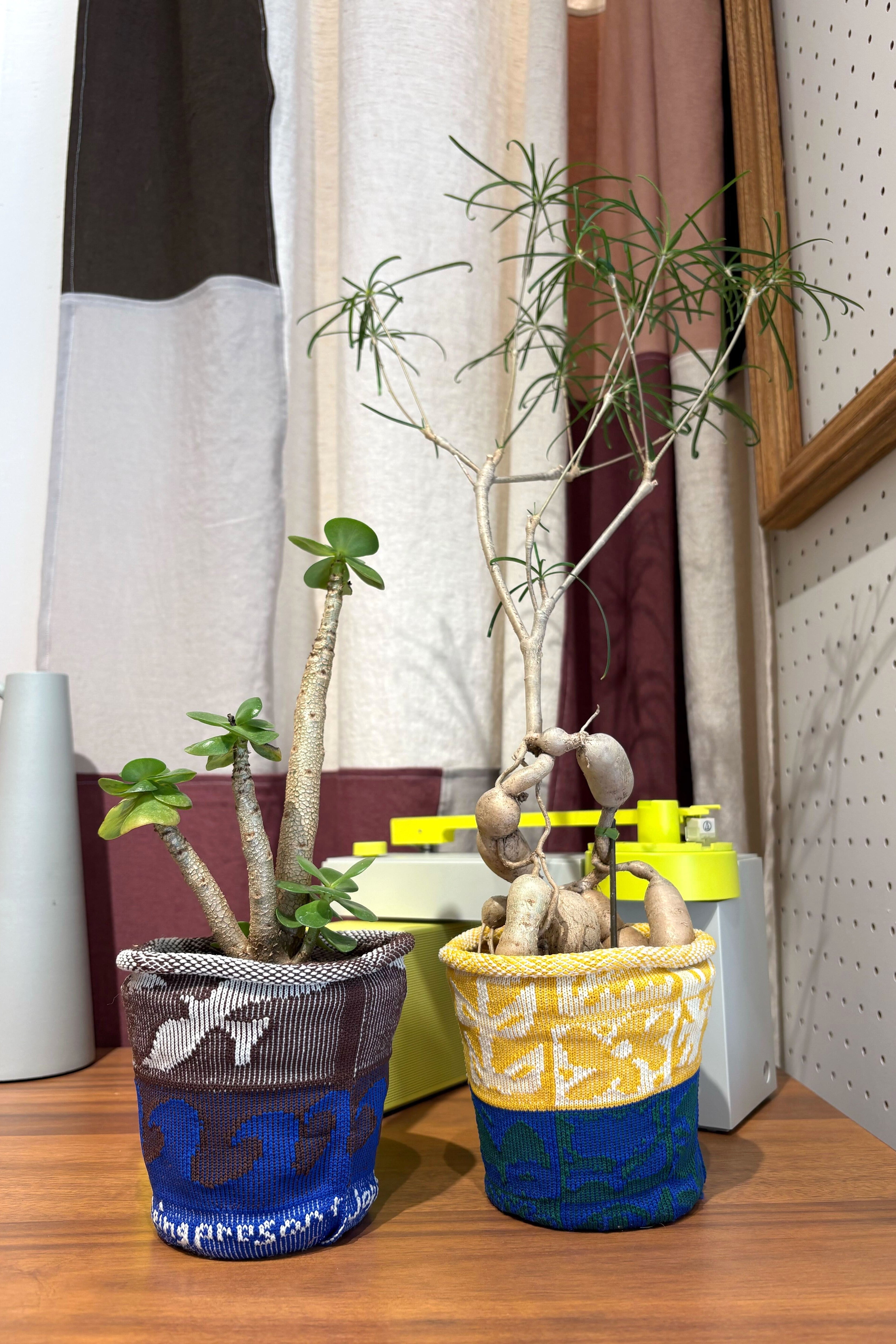 PlantCover HS YUUKI Brown