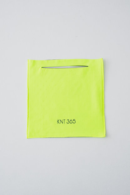 Totty HS Logo Yellow