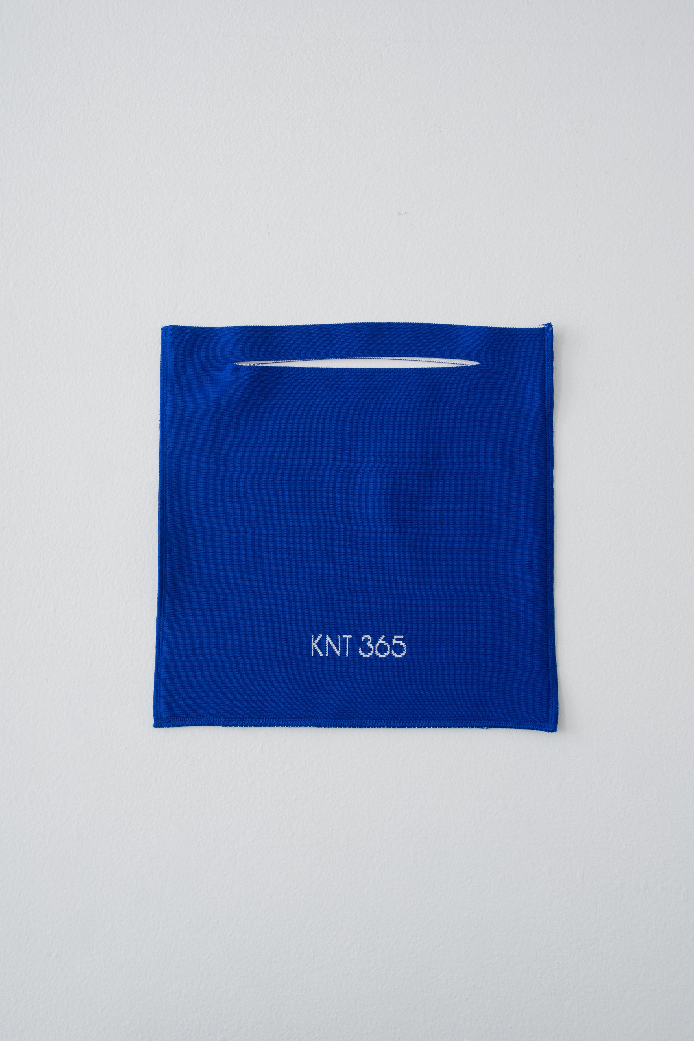 Totty HS Logo Blue