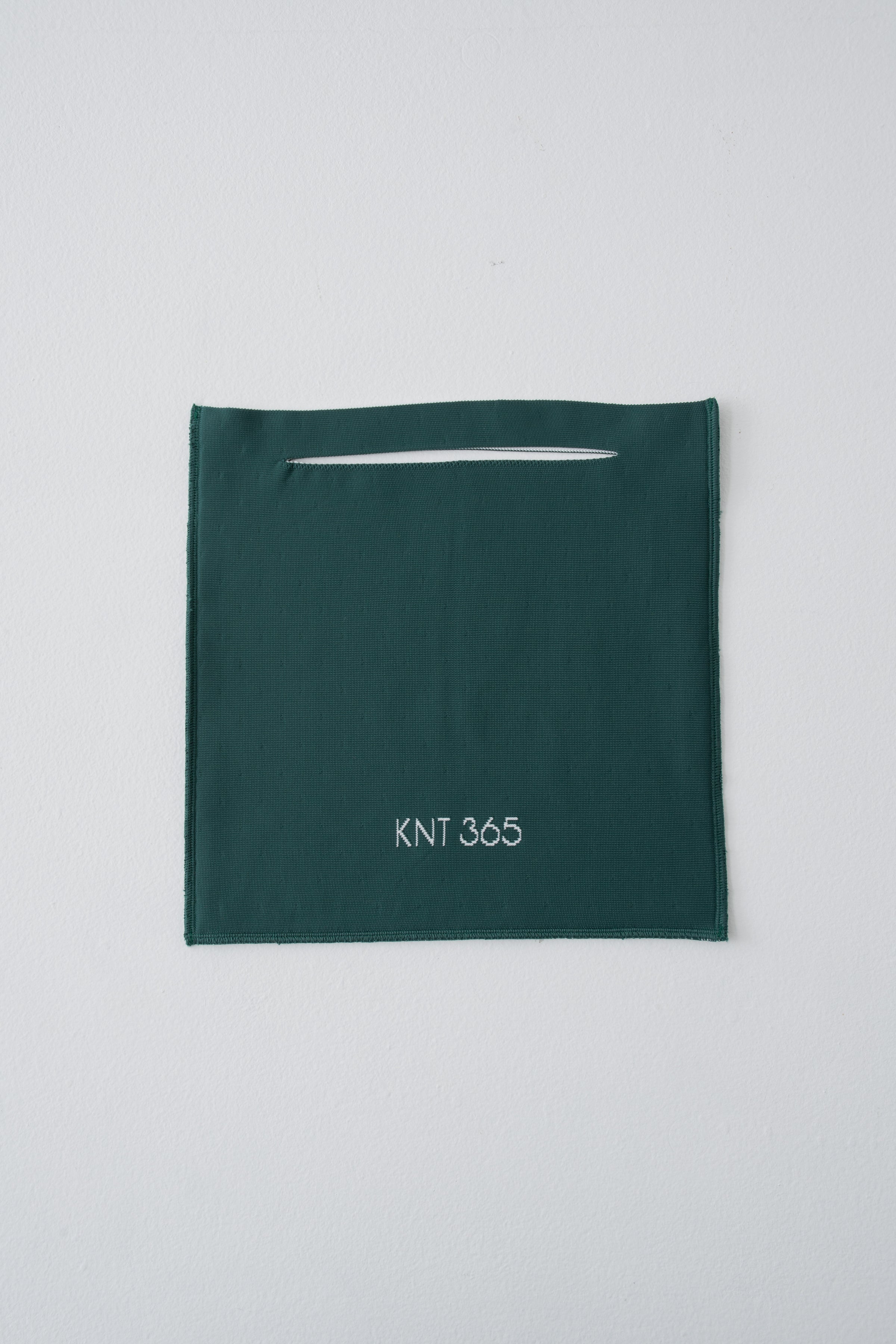 Totty HS Logo Green