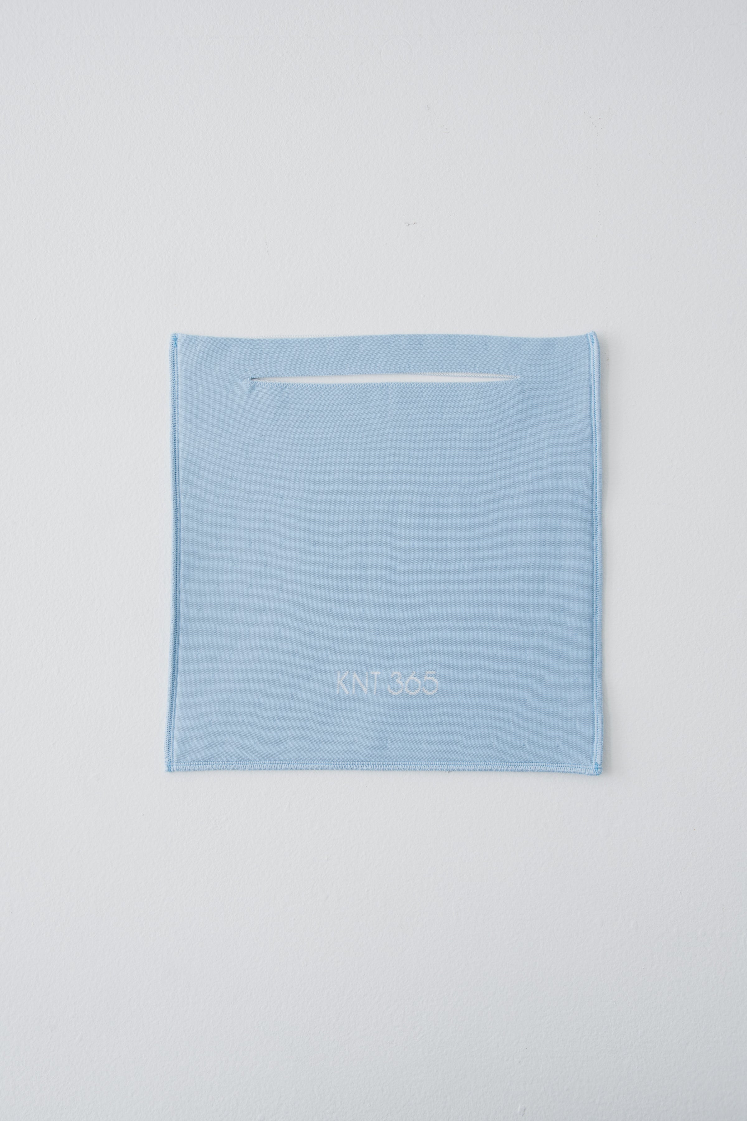 Totty HS Logo Lt. Blue