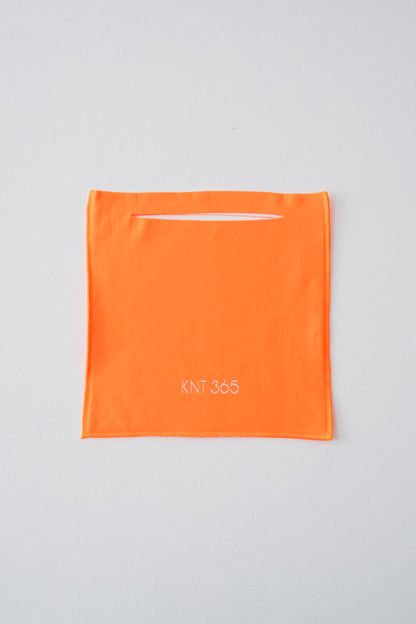 Totty HS Logo Orange