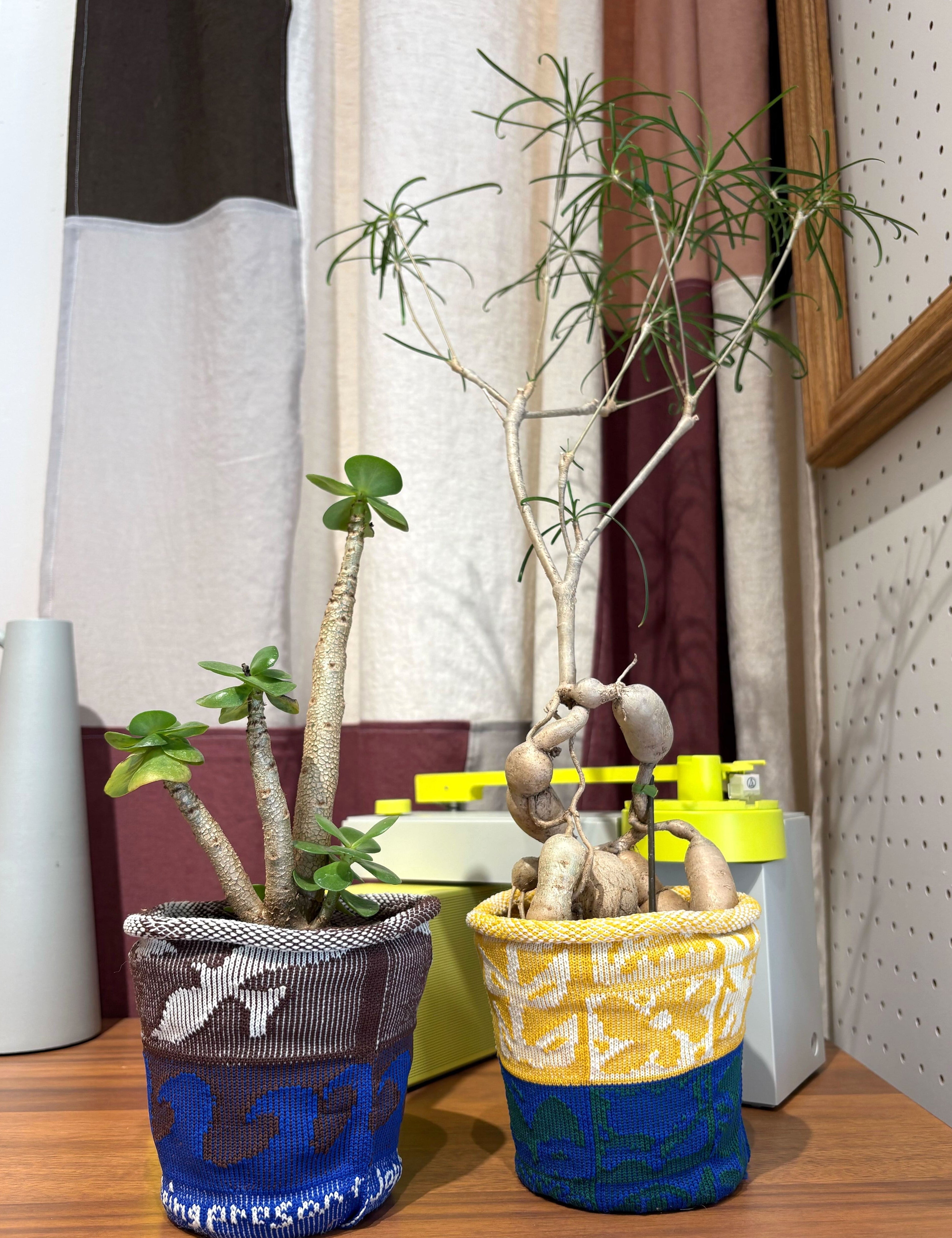 PlantCover HS YUUKI Yellow
