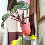 PlantCover HS YUUKI Black